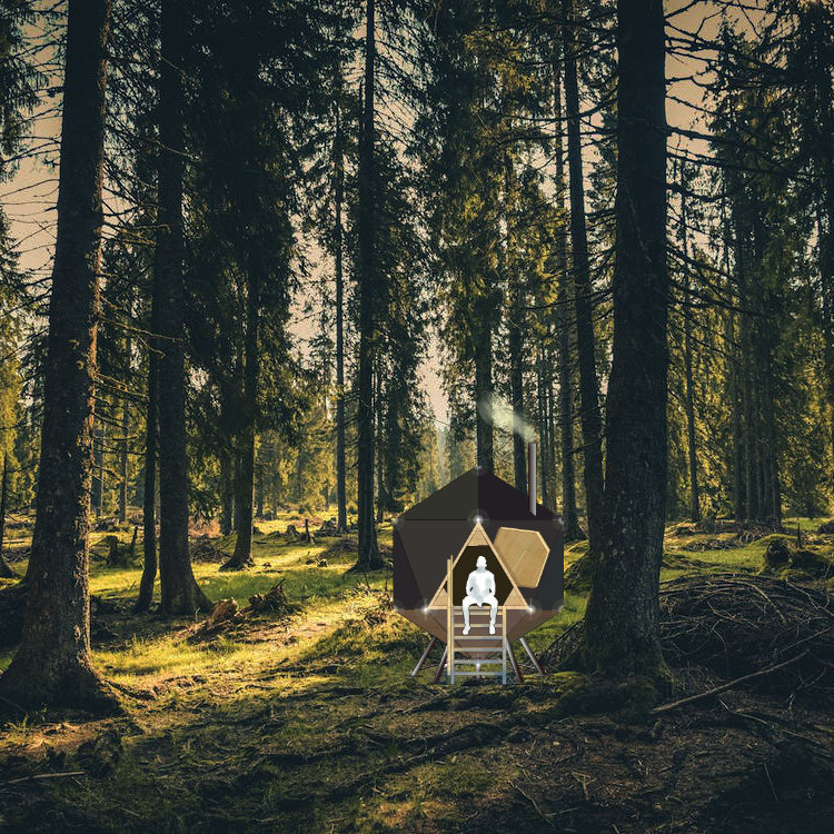 Grundlage "Grünes Gras Auf Wald" - Budureasa, BH, Romania - Fotograph Rudolf Jakkel - pexels.com